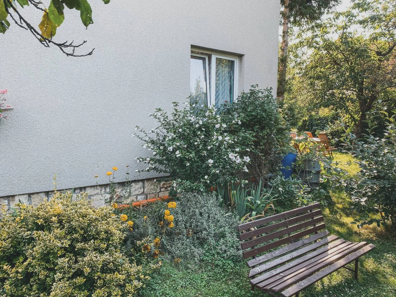 A flower-filled border beside a house, with shrubs, mixed plants, and a wooden garden bench.
